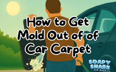 10 Tips to Get Rid of Mold in Your Car Carpet for Good
