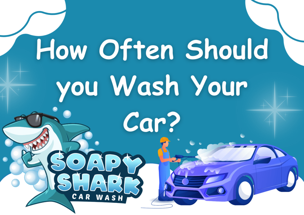 Crisp How Often Should You Wash Car, Wallpaper Digital Art Crisp How Often Should You Wash Car, Wallpaper Digital Art