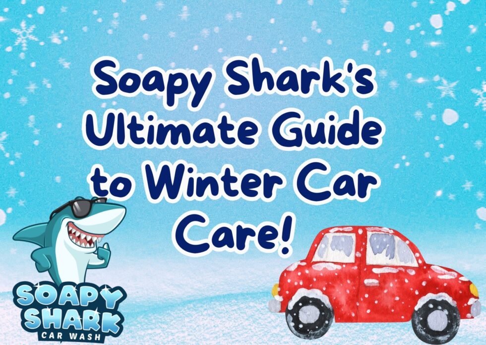 How Often Should You Wash Your Car in the Winter? - Soapy Shark Car Wash